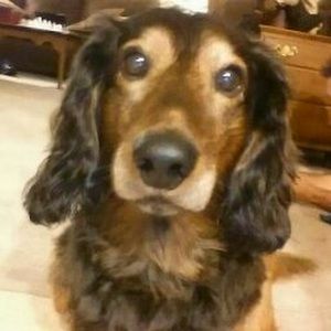 Meet your Posher, Marion